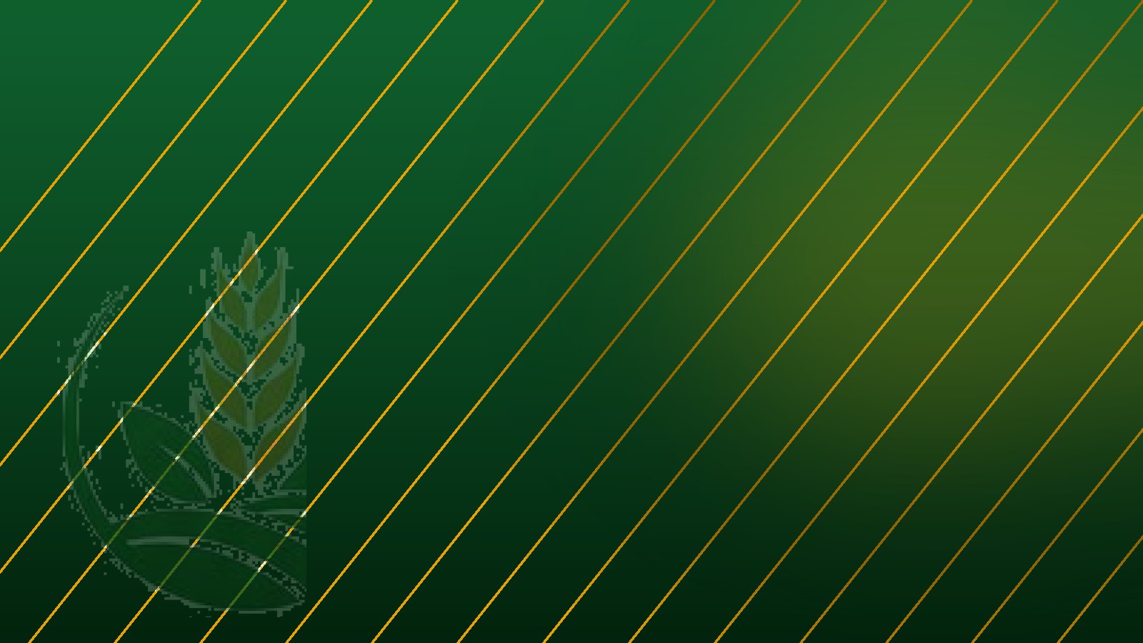Sheen Zar Releases Company Profile 2026